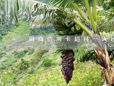 招商信用卡超过一天还款算逾期吗 招商信用卡超过一天还款算逾期吗