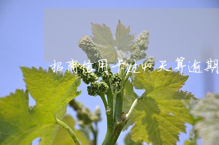 招商信用卡过4天算逾期吗 招商信用卡过4天算逾期吗