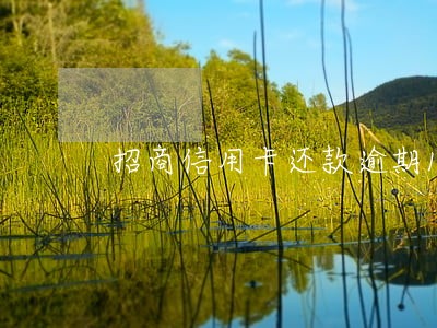 招商信用卡还款逾期15天 招商信用卡还款逾期15天