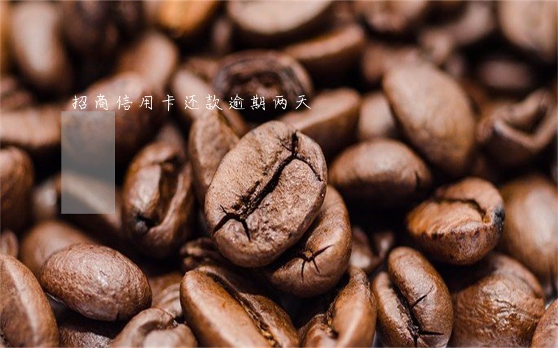 招商信用卡还款逾期两天 招商信用卡还款逾期两天