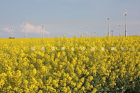 招商信用卡还款逾期怎么处罚 招商信用卡还款逾期怎么处罚