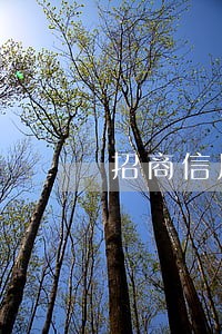 招商信用卡逾期021号码催收 招商信用卡逾期021号码催收