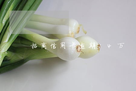 招商信用卡逾期14万