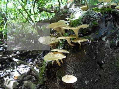 招商信用卡逾期15天会怎样 招商信用卡逾期15天会怎样