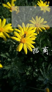 招商信用卡逾期15天要求还全款 招商信用卡逾期15天要求还全款