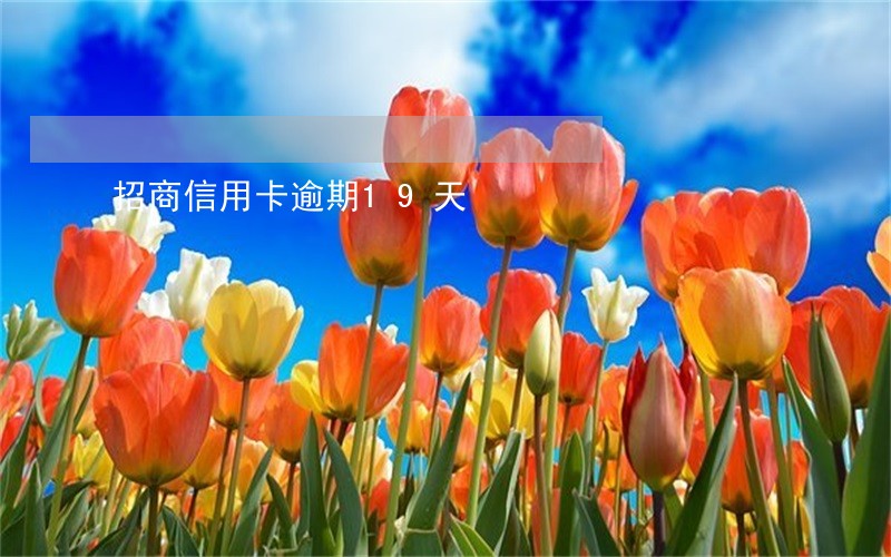 招商信用卡逾期19天 招商信用卡逾期19天