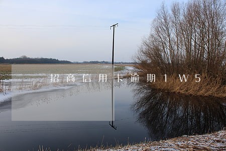招商信用卡逾期1W5 招商信用卡逾期1W5