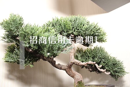 招商信用卡逾期1个月还能提额吗 招商信用卡逾期1个月还能提额吗