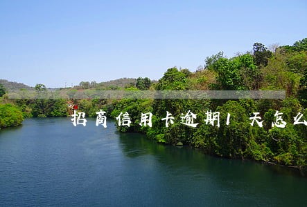 招商信用卡逾期1天怎么办