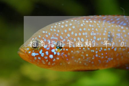 招商信用卡逾期1年10万 招商信用卡逾期1年10万