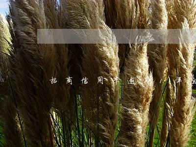 招商信用卡逾期1年会这么样 招商信用卡逾期1年会这么样