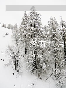 招商信用卡逾期20万协商 招商信用卡逾期20万协商