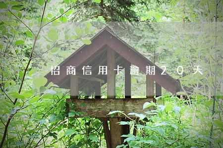 招商信用卡逾期20天 招商信用卡逾期20天