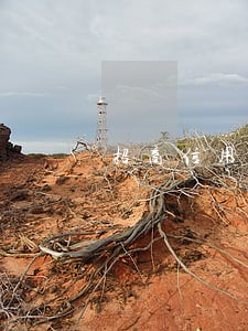 招商信用卡逾期20天会封卡吗 招商信用卡逾期20天会封卡吗