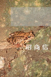 招商信用卡逾期28冻结 招商信用卡逾期28冻结