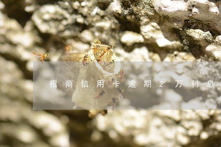 招商信用卡逾期2万利息怎么算 招商信用卡逾期2万利息怎么算