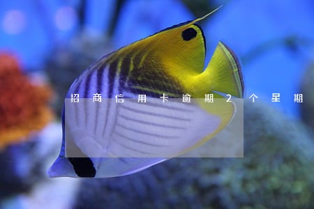招商信用卡逾期2个星期 招商信用卡逾期2个星期