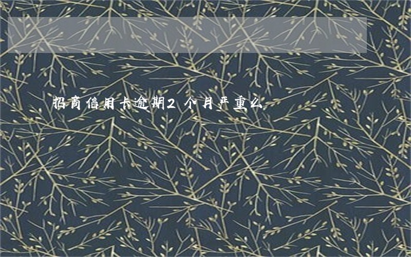 招商信用卡逾期2个月严重么