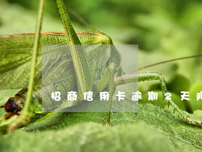 招商信用卡逾期2天降额 招商信用卡逾期2天降额