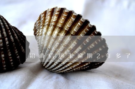 招商信用卡逾期2年多了