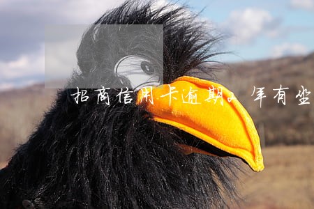 招商信用卡逾期2年有坐牢的吗 招商信用卡逾期2年有坐牢的吗