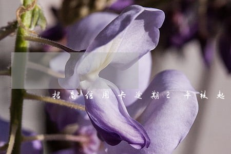 招商信用卡逾期2年被起诉 招商信用卡逾期2年被起诉