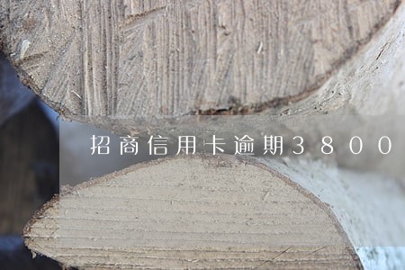 招商信用卡逾期38000