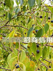 招商信用卡逾期3万3个月 招商信用卡逾期3万3个月