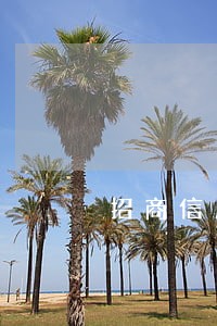 招商信用卡逾期3个月可以协商吗 招商信用卡逾期3个月可以协商吗
