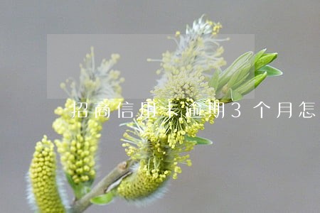 招商信用卡逾期3个月怎么办 招商信用卡逾期3个月怎么办