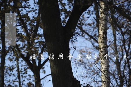 招商信用卡逾期3个月怎么解冻 招商信用卡逾期3个月怎么解冻