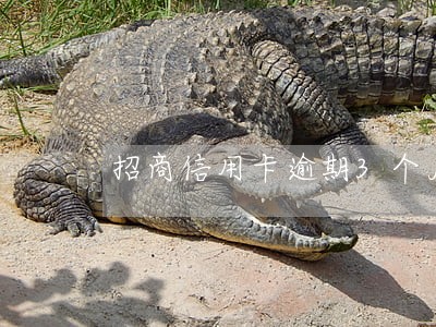招商信用卡逾期3个月欠五千 招商信用卡逾期3个月欠五千