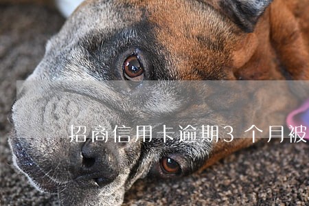 招商信用卡逾期3个月被停卡了 招商信用卡逾期3个月被停卡了