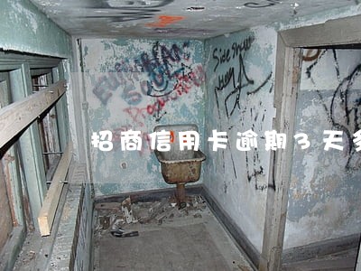 招商信用卡逾期3天多少利息