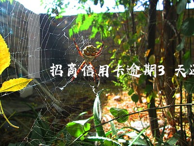 招商信用卡逾期3天还款 招商信用卡逾期3天还款