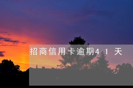 招商信用卡逾期41天 招商信用卡逾期41天