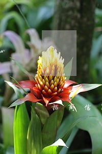 招商信用卡逾期4万多会被立案么 招商信用卡逾期4万多会被立案么