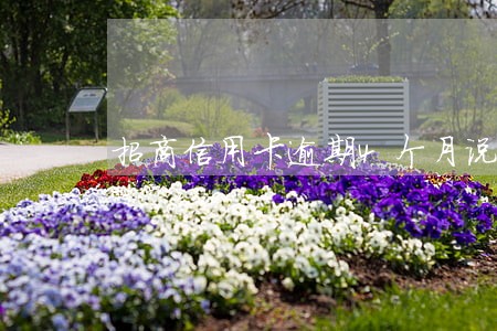 招商信用卡逾期4个月说要告我 招商信用卡逾期4个月说要告我