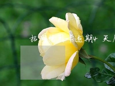 招商信用卡逾期4天后会停拉吗 招商信用卡逾期4天后会停拉吗