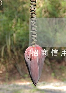 招商信用卡逾期4天忘记还 招商信用卡逾期4天忘记还