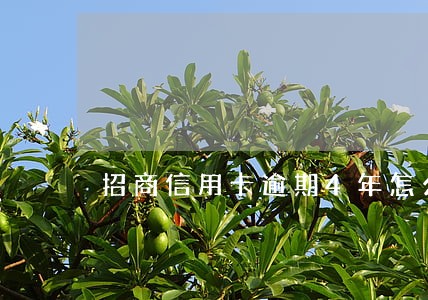 招商信用卡逾期4年怎么还 招商信用卡逾期4年怎么还
