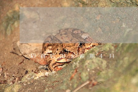 招商信用卡逾期4月
