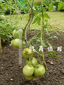 招商信用卡逾期5400多 招商信用卡逾期5400多