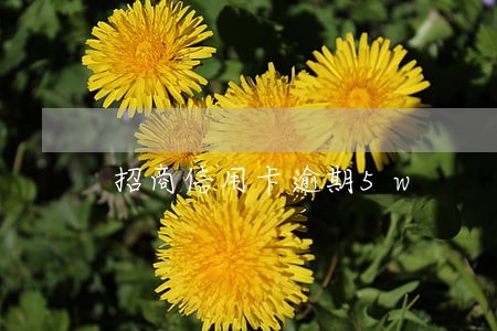 招商信用卡逾期5w