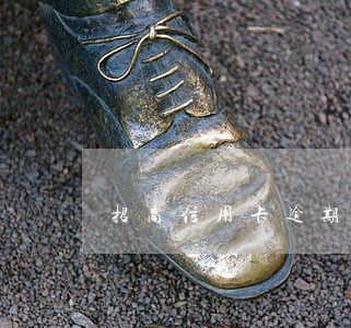 招商信用卡逾期5万一年费用 招商信用卡逾期5万一年费用
