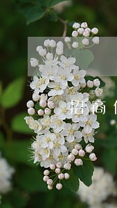 招商信用卡逾期5万会立案吗 招商信用卡逾期5万会立案吗