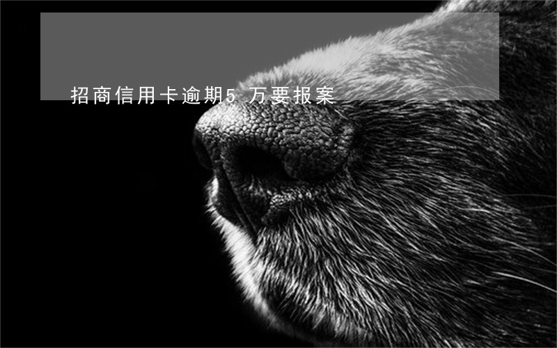 招商信用卡逾期5万要报案 招商信用卡逾期5万要报案