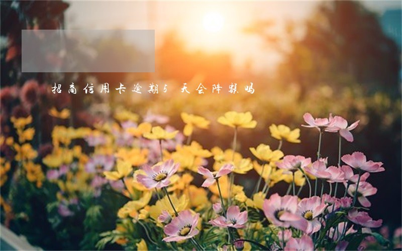招商信用卡逾期5天会降额吗 招商信用卡逾期5天会降额吗