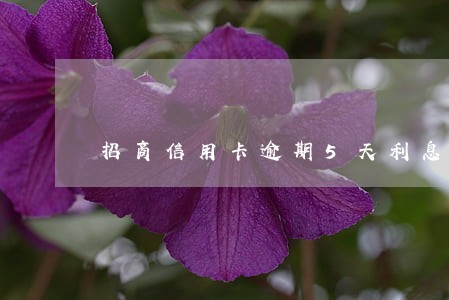 招商信用卡逾期5天利息多少 招商信用卡逾期5天利息多少