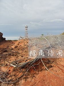 招商信用卡逾期6万会起诉吗 招商信用卡逾期6万会起诉吗